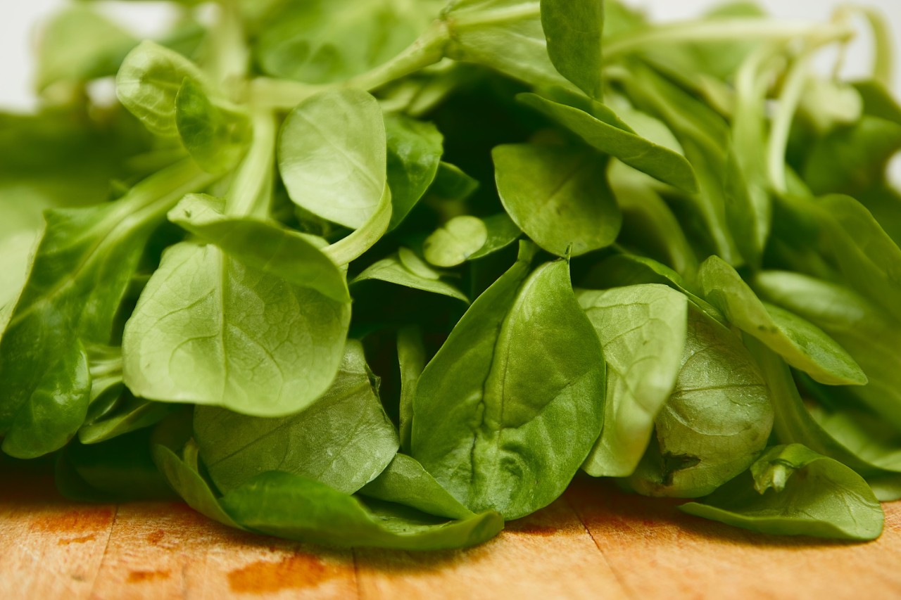 Toxic spinach on the loose in Australia