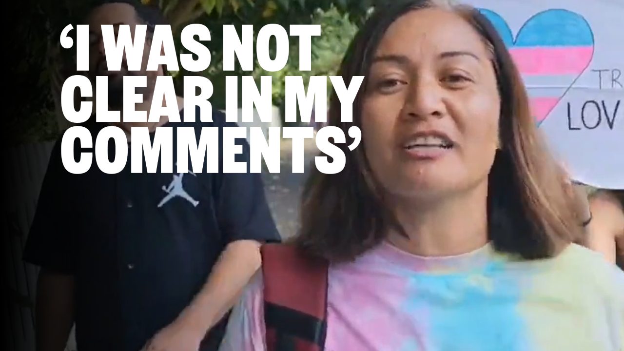 Marama Davidson excuses 'violent cis white men' comment after being hit by motorcyclist