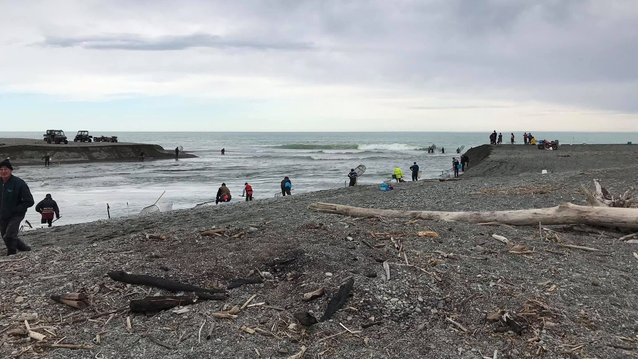 Whitebating the Opihi River August 2021, photo supplied from Davo's Fishing Hunting Sport 