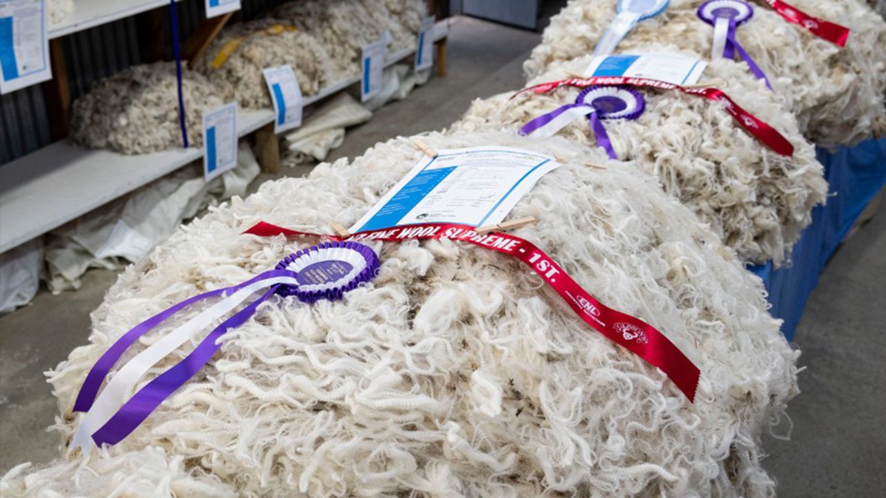 Fine Wool Supreme Fleece Judge optimistic about industry direction