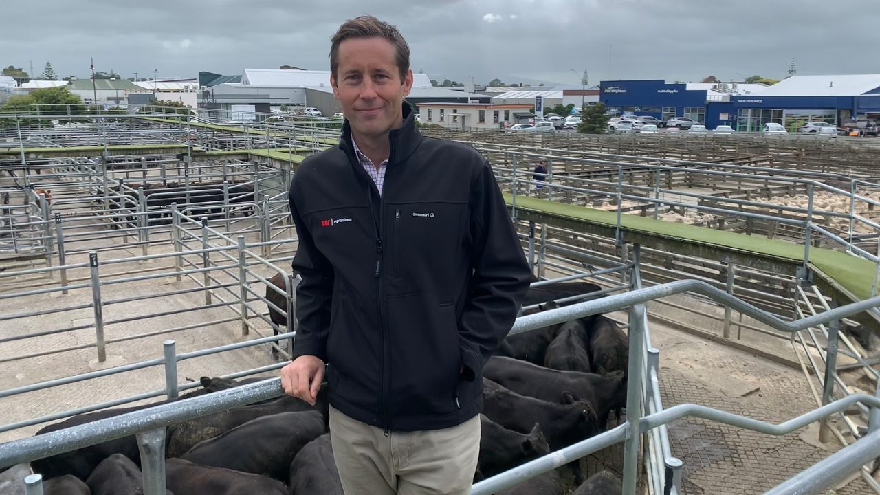 Westpac NZ's Sustainable Farm Loans Setting Kiwis Up For Success
