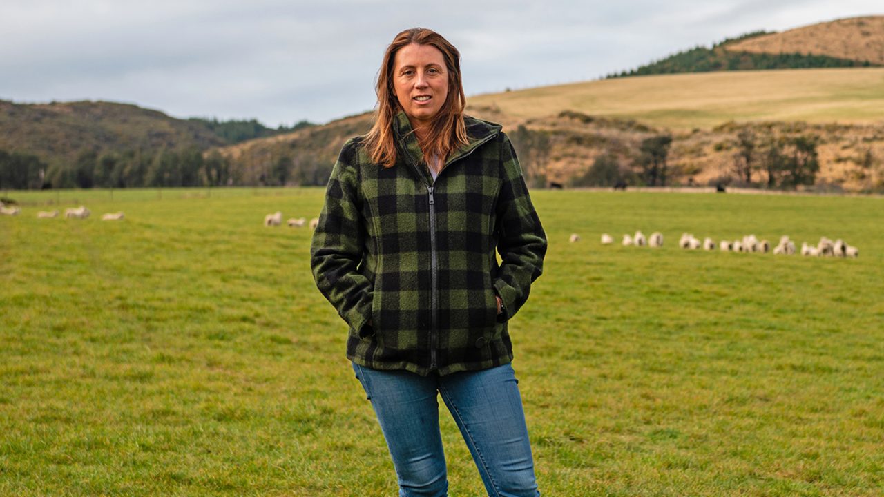 Beef + Lamb NZ CEO explores sustainability & challenges in beef and lamb industry