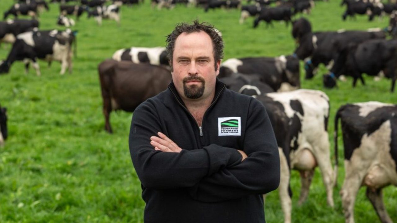 Teagen Gray's leap from academia to award-winning Dairy Manager