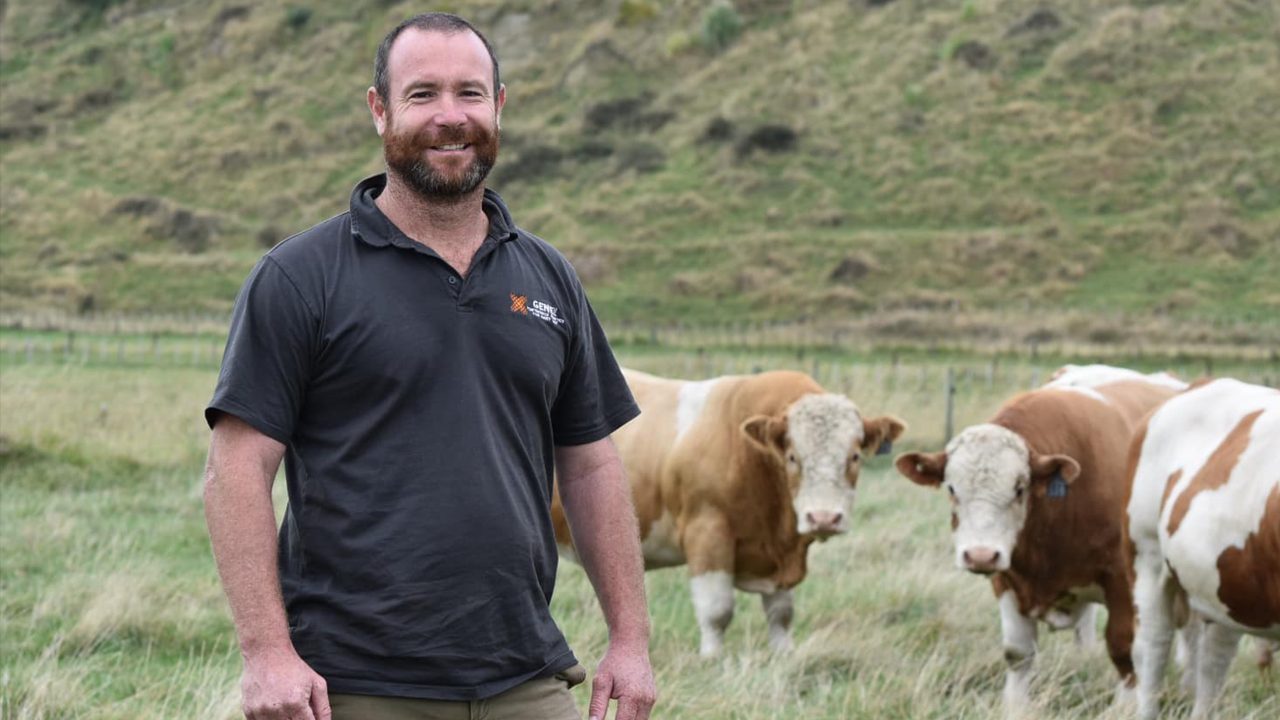 How GENEZ Are Changing The Beef Genetics Game