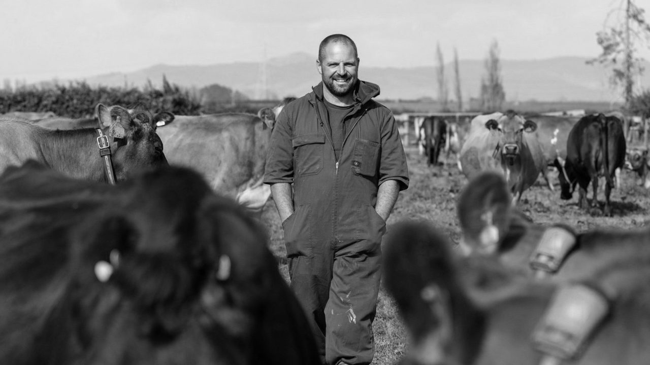 Dairy Farming's New Wingman: Mark Benns' Innovative Herd Improvement Consultancy