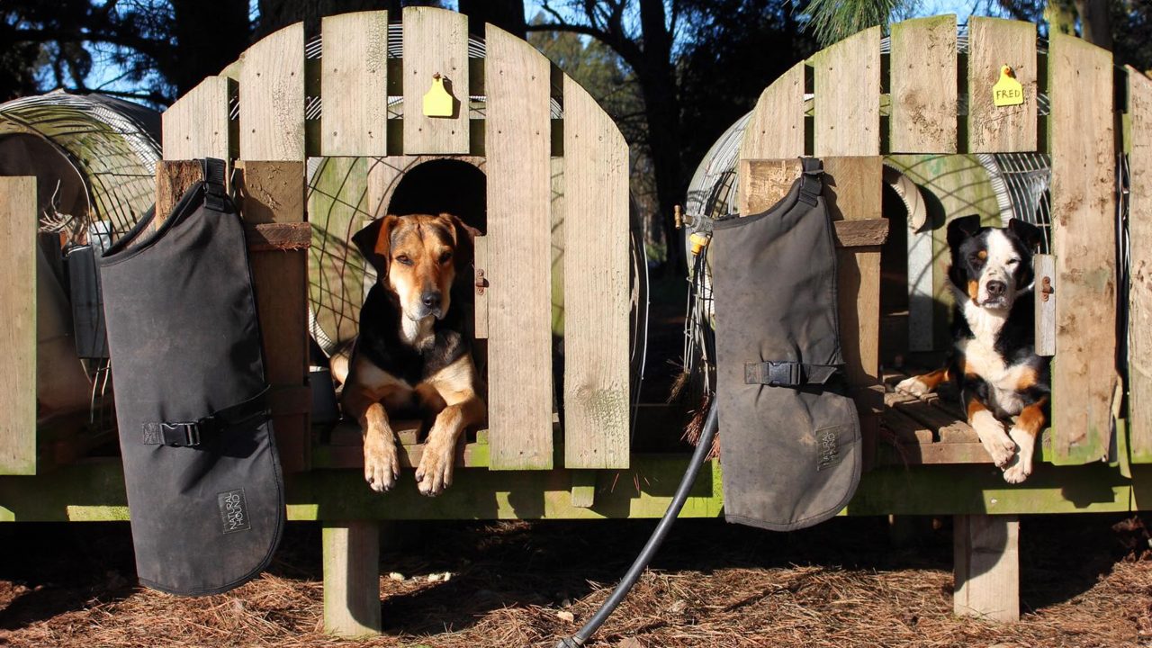 Natural Hound's Innovative Dog Gear