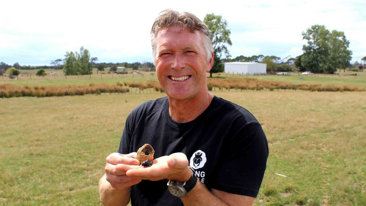 Kiwi scientists crowned climate heroes with environmentally friendly sheep 