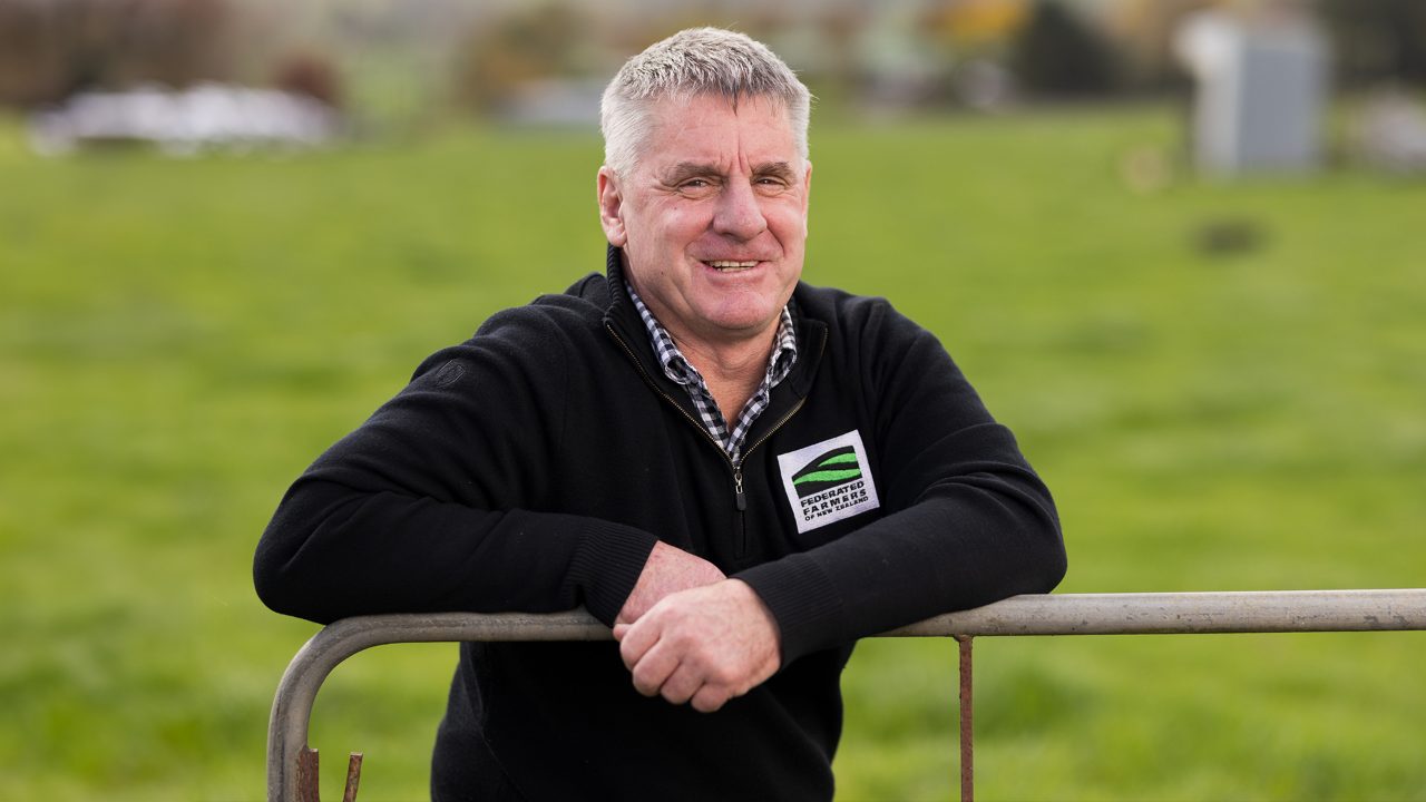 New Zealand Farmland Facing Pine Tree Invasion