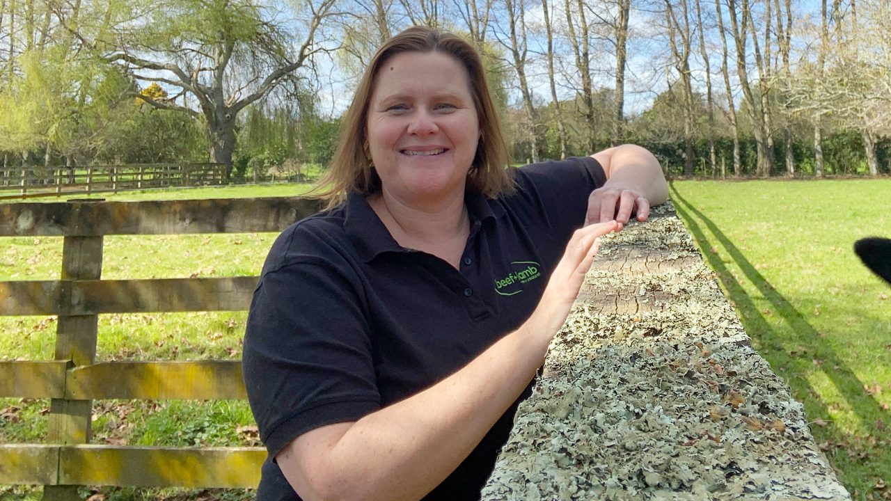 Rising Livestock Prices In The Lower North Island A Boost For Farmers