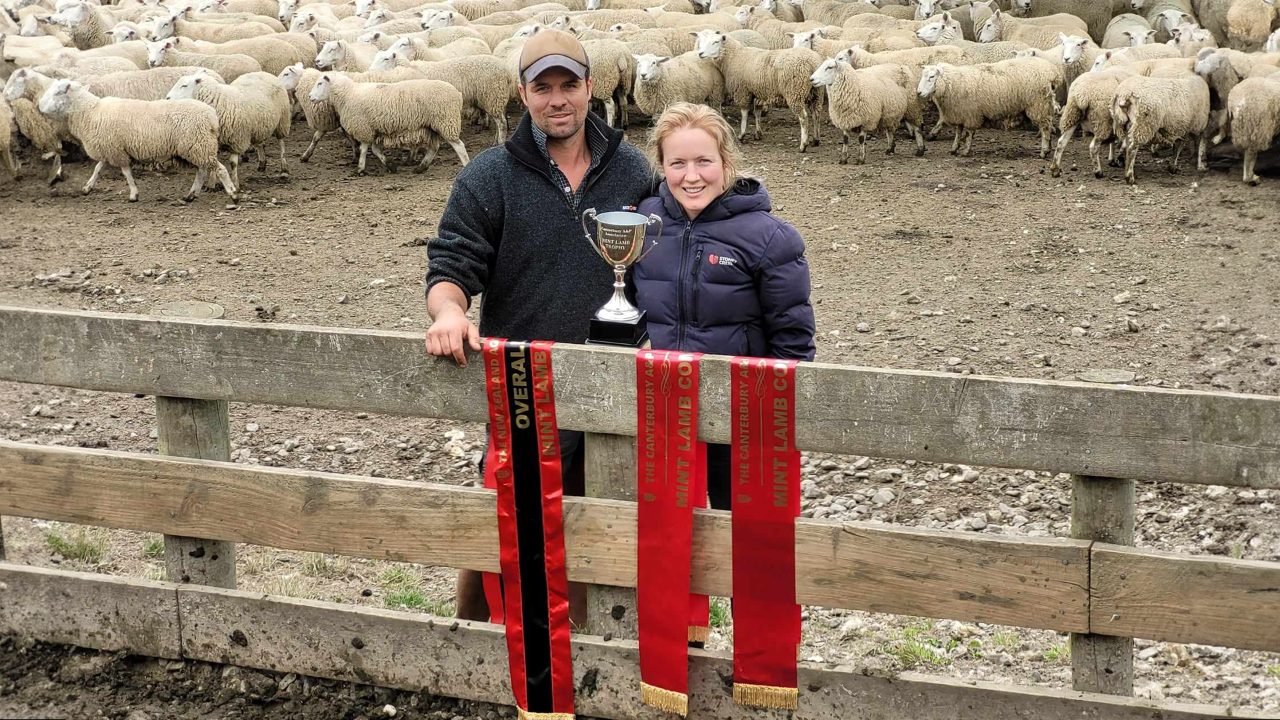 Freddy Gane On Farming Resilience, Sheep Chat + Digital Innovation